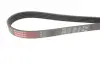 Пасок полiклиновий BMW/ Citroen/ Lada/ MB/ Mitsubishi/ Nissan/ Opel/ Peugeot/ Renault/ Toyota/ Volvo gates 5PK1123