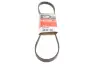 Пасок полiклиновий Daewoo Lanos, Nexia Alfa Romeo 145/146/155 Fiat Croma, Tempra, Tipo Opel Kadett, Vectra Peugeot 405 Toyota Avensis, Carina, Celica, Corolla Gates 5PK970 (фото 1)