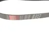 Пасок поліклиновий Mazda MPV II (LW) 99-06 gates 8PK1230