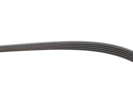 Привідний ремінь генератора gates 5PK1355