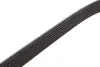 Пасок поліклиновий Opel Movano/Renault Master 2.2DTI/2.5DTI gates 7PK1793