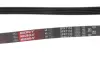 Пасок поліклиновий Renault Clio II/Grand Scenic/Kangoo/Megane II/Modus gates 5PK1133