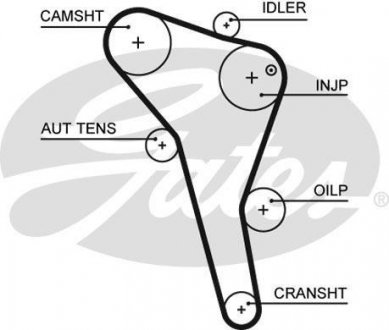 Ремінь грм gates 5622XS