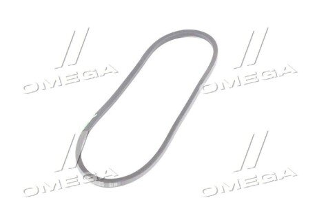 Привідний ремінь генератора gates AV17X1175HD