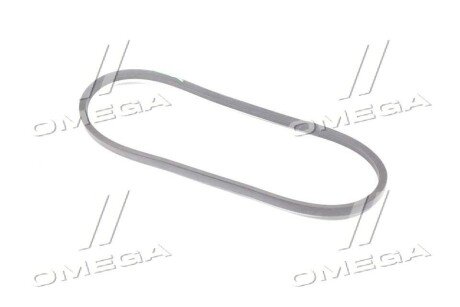 Привідний ремінь генератора gates AV17X1175HD