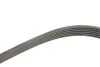 Ремень поликлиновой gates 6PK1950