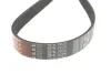 Ремень поликлиновой gates 6PK2625