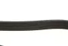Ремень поликлиновой gates 7PK1870