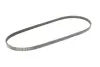 Ремень поликлиновый gates 4PK1058