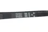 Ремень поликлиновый gates 4PK823
