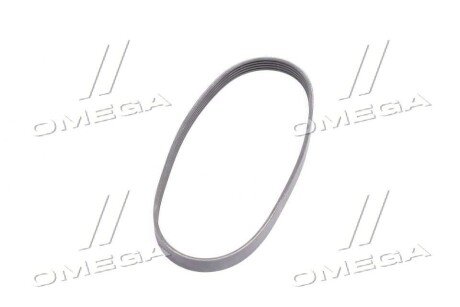 Привідний ремінь генератора gates 5PK738