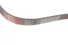 Ремень поликлиновый gates 6PK1163