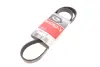 Ремень поликлиновый gates 6PK1163