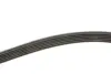 Ремень поликлиновый gates 6PK1583