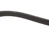 Ремень поликлиновый gates 6PK1928