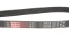 Ремень поликлиновый gates 6PK2128