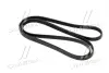 Ремень поликлиновый gates 6PK2650