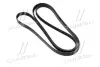 Ремень поликлиновый gates 6PK2650
