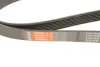 Ремень поликлиновый gates 7PK1645