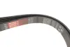 Ремень поликлиновый MB Sprinter Gates 6PK2203 (фото 2)