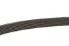 Ремень поликлиновый Samara gates 6PK700