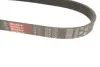 Ремень поликлиновый Samara gates 6PK700