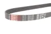 Ремень поликлиновый Volga gates 6PK1228