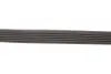 Ремень поликлиновый Volga gates 6PK1228