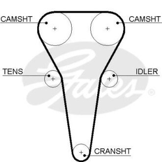 Ремінь ГРМ gates 5567XS