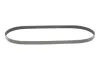 Ремінь поліклиновий gates 5PK1005