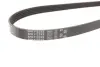 Ремінь поліклиновий gates 5PK1123XS