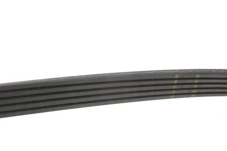 Ремінь поліклиновий gates 5PK1173