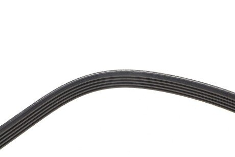 Ремінь поліклиновий gates 5PK828