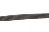 Ремінь поліклиновий gates 6PK1113