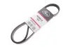 Ремінь поліклиновий gates 6PK1210