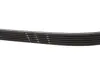 Ремінь поліклиновий gates 6PK1360XS