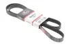 Ремінь поліклиновий gates 6PK1595