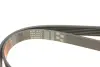 Ремінь поліклиновий gates 6PK1613