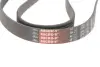Ремінь поліклиновий gates 6PK1735