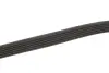 Ремінь поліклиновий gates 6PK1735