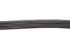 Ремінь поліклиновий gates 6PK1855