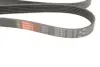 Ремінь поліклиновий gates 6PK1873