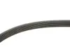 Ремінь поліклиновий gates 6PK2253