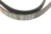 Ремінь поліклиновий gates 6PK2253