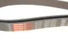 Ремінь поліклиновий gates 6PK2305