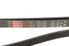 Ремінь поліклиновий gates 6PK2585