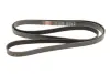 Ремінь поліклиновий gates 6PK2585