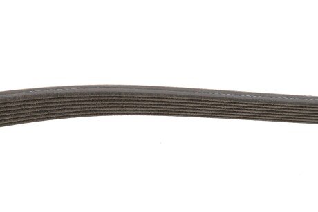 Ремінь поліклиновий gates 7DPK2884