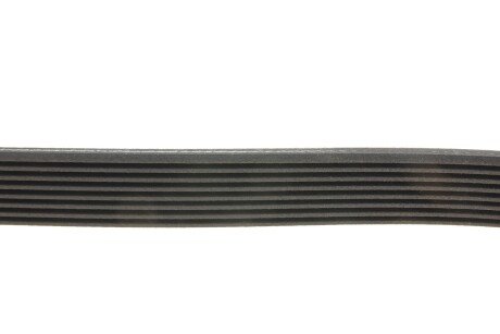 Ремінь поліклиновий gates 8DPK1825