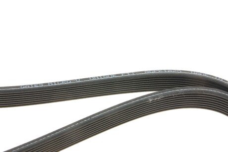 Ремінь поліклиновий gates 8DPK1825